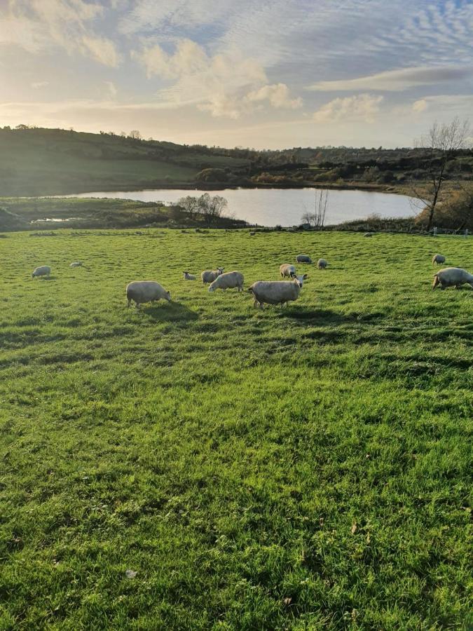 Claragh Cottage Cavan Exteriér fotografie