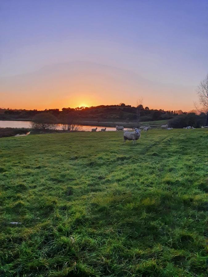 Claragh Cottage Cavan Exteriér fotografie