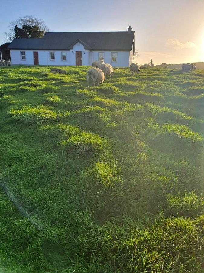 Claragh Cottage Cavan Exteriér fotografie