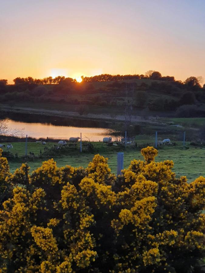 Claragh Cottage Cavan Exteriér fotografie